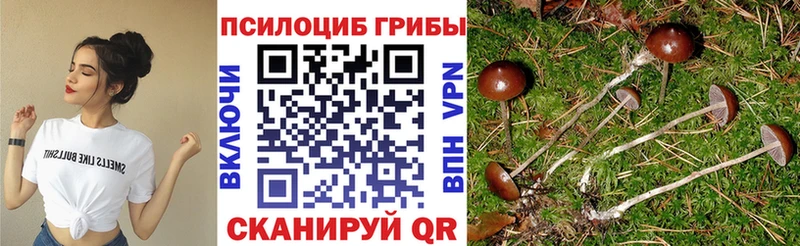 Псилоцибиновые грибы GOLDEN TEACHER  сколько стоит  Надым 